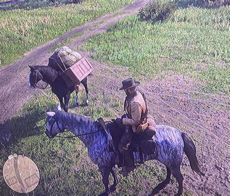 I just killed a Lion in Emerald Ranch, but who’s horse is this? : r/RDR2