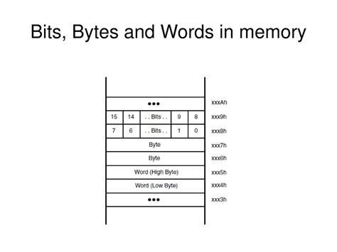 Lecture 3 Memory Ppt Download