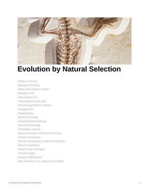 Chapter Lecture Guide Phylogenies And The History Of Life