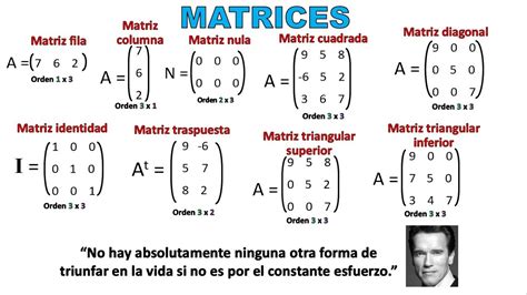 Cuáles son los diferentes tipos de matrices