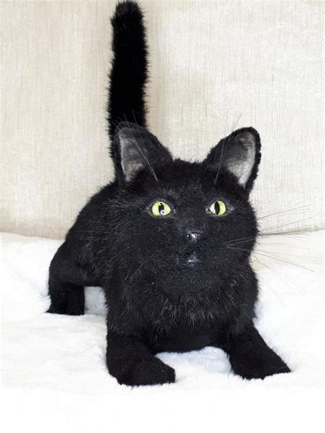 realistic toy black cat .plush toy . stuffed cat . pet portr - Inspire ...