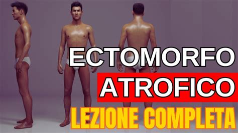 Ectomorfo Atrofico E Grasso Addominale Lezione Completa Youtube