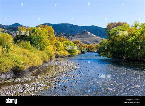 Fall foliage colors along the Arkansas RIver which runs through the ...