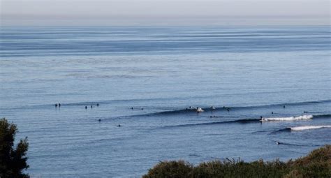 Surfing In Encinitas CA A Locals Guide The Surfing Handbook