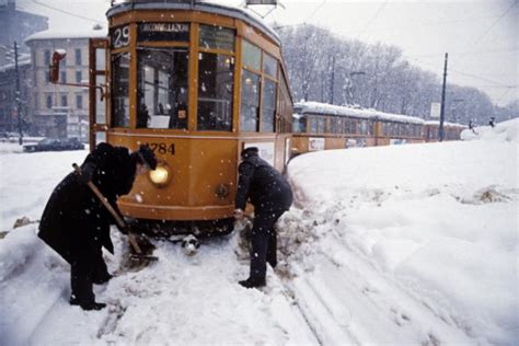 Nevicata Del Snowwinterlovers