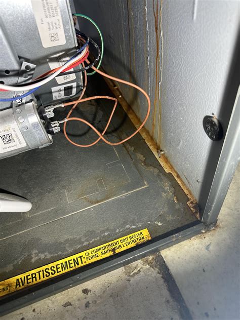 My furnace is leaking water. I’ve cleaned it up but not sure why. What