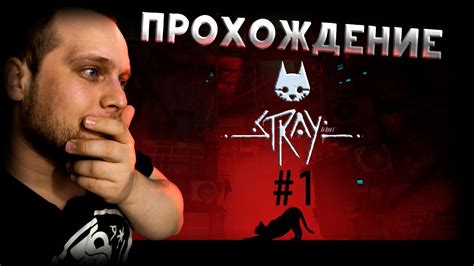 Максимум милоты - прохождение STRAY игра за кота #1 - YouTube