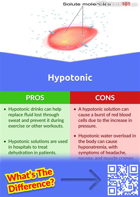 Hypertonic Vs Hypotonic 5 Key Differences Pros And Cons Similarities Difference 101