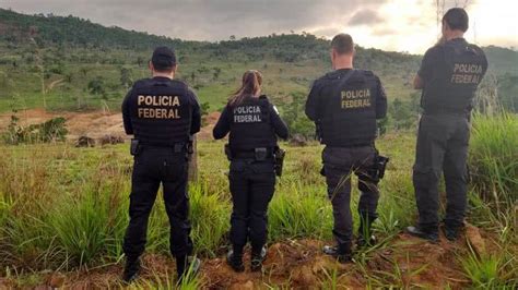 Pf Deflagra Operação Sos Uru Contra Crimes Ambientais Em Terras