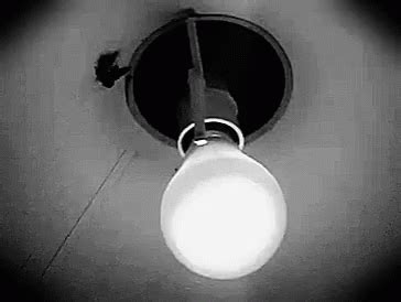 Moth Light Bulb GIF - Moth LightBulb - Discover & Share GIFs