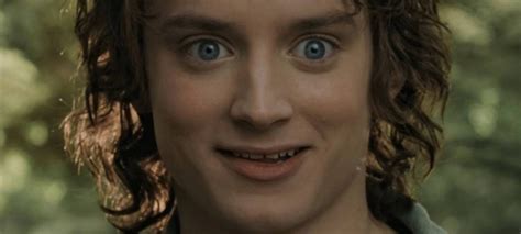 Elijah Wood Est Esperan Oso Novos Filmes De O Senhor Dos An Is