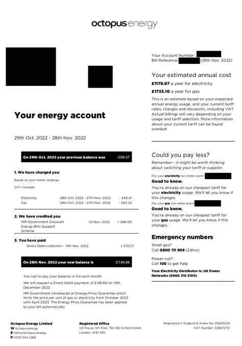 Octopus Energy Bill Explained