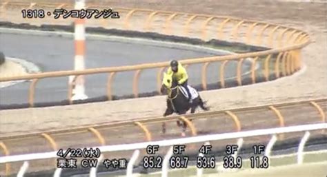 【福島牝馬ステークス】調教 よく見えた馬 ベスト3 勝ち組在籍方法！