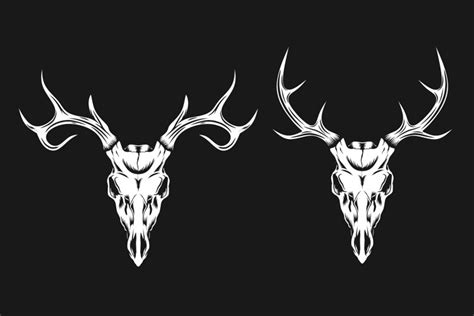 Deer Skull Vector Illustration 1419467