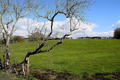 Kiltamnagh Townland Kenneth Allen Cc By Sa Geograph Britain