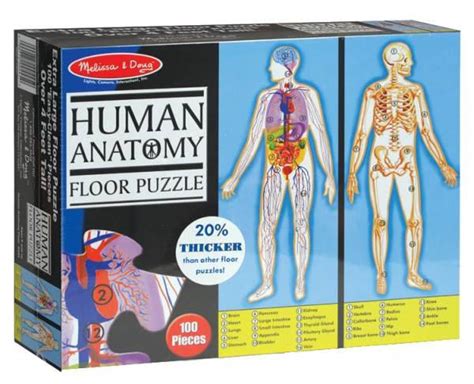 Купить Напольный пазл Строение человека Melissa&Doug (MD445), цена 675 ...