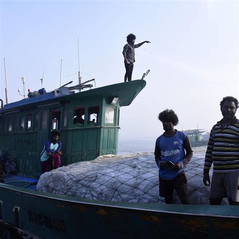 Cyclone Mocha Major Cyclonic Storm Brewing In Bay Of Bengal Likely To