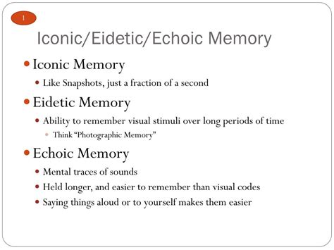 Echoic Memory Psychology Definition Example Slidesharetrick