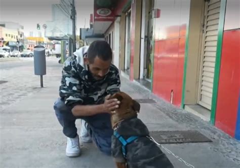 Justiça manda devolver cão tirado de pessoa em situação de rua tinha