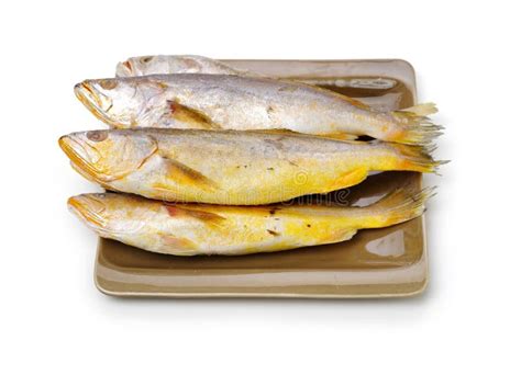 Yellow Croaker Fish stock photo. Image of gourmet, nature - 111889890