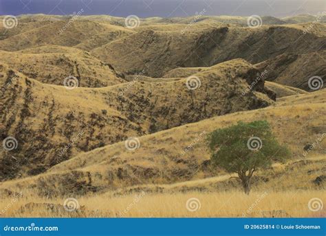 Namibian desert landscape stock photo. Image of undulating - 20625814