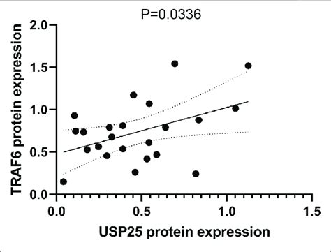 Correlation Between Protein Expression Of Usp And Traf In Pbmcs