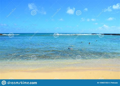 Turtle Bay Beach Hawaii USA Stock Image - Image of shore, turtle: 159651553