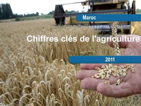 Situation De Lagriculture Marocaine N°11 Transfert De Technologie En