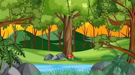 Rainforest Background Cartoon