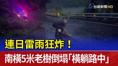 連日雷雨狂炸！ 南橫5米老樹倒塌「橫躺路中」 Youtube