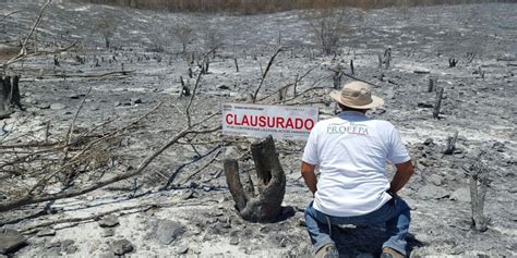 Profepa La Ley Al Servicio De La Naturaleza Clausura Profepa