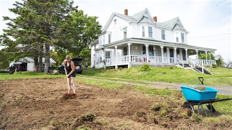 Why You Should Be Covering Your Grass Seed With These Materials