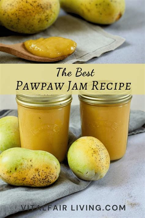 Pawpaw Jam Recipe Vital Fair Living Recipe In 2024 Jam Recipes