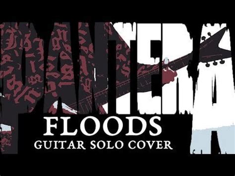 PANTERA - Floods | GUITAR SOLO COVER 🐍 : r/metalguitar