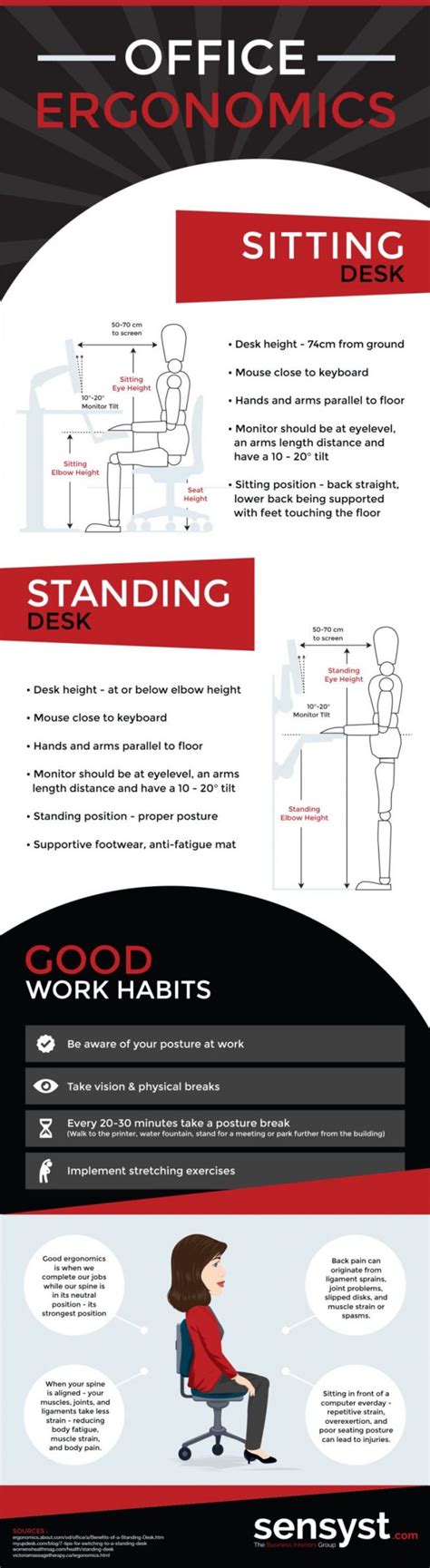 Ergonomics Infographic