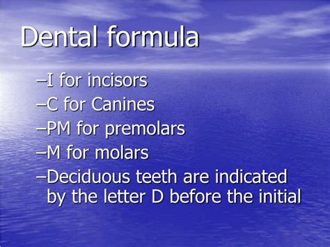 PPT - Introduction to Dental Anatomy PowerPoint Presentation, free ...