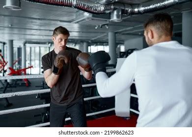 Two Sparring Partners Boxing Gloves Practice Stock Photo 2199862623 | Shutterstock