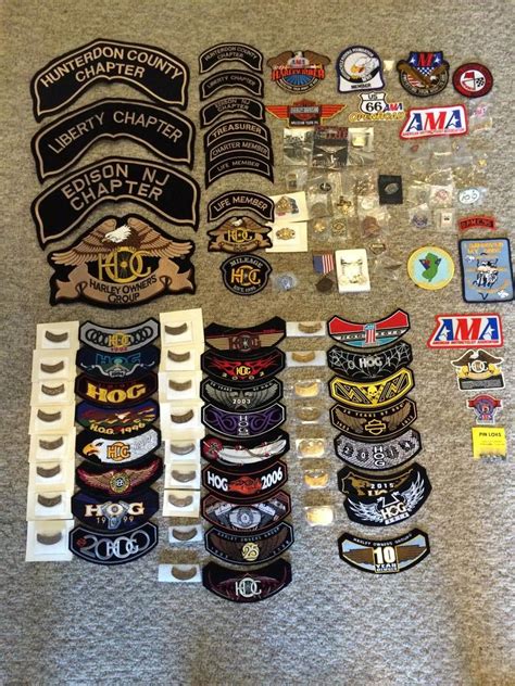 24 Yrs of Harley Davidson HOG Patches & Pins + HD Rally/AMA/Misc ...