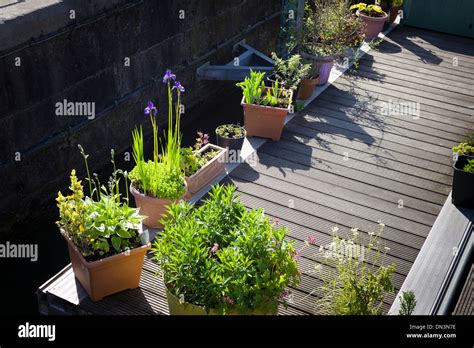 Wooden Planters Hi Res Stock Photography And Images Alamy