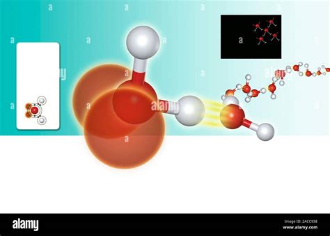 Water molecules. Diagram showing the bonding in water molecules. The atoms at centre and right ...