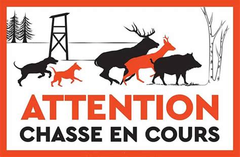 Battues De Chasse Mairie De Grendelbruch