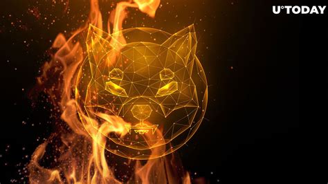 2 Billion Shiba Inu Burned Over Past Week Here S How SHIB Price Reacts