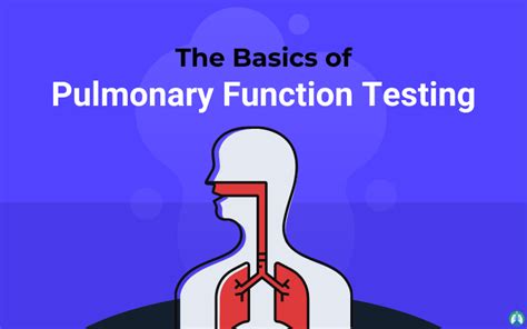 Basics Of Pulmonary Function Testing Overview And Practice Questions