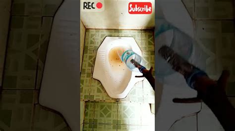 Cara Mudah Atasi Wc Mampet Dan Penuh Roto Rooter Drain Service