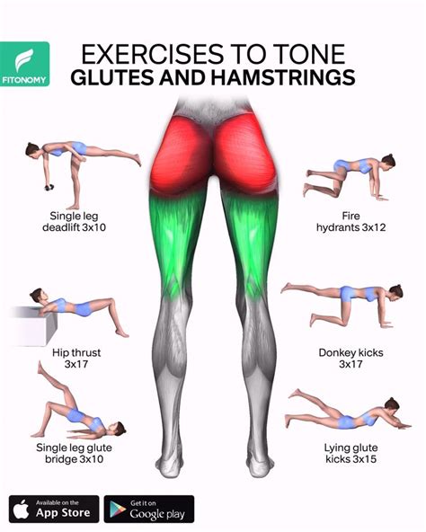 EXERCISES TO TONE YOUR GLUTES AND HAMSTRINGS | Glutes workout ...