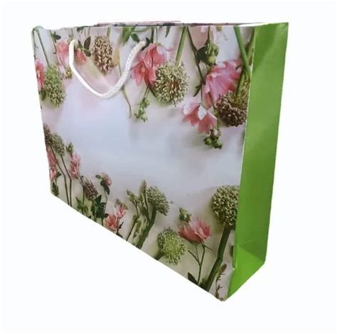 Multicolor Premium Quality Metallic Paper Rectangle Gift Bag Kg At