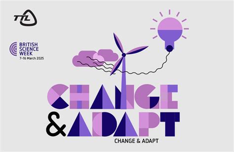how do i adapt to change