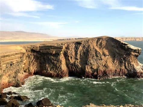 From Lima Ballestas Island And Paracas Reserve Private Tour Getyourguide