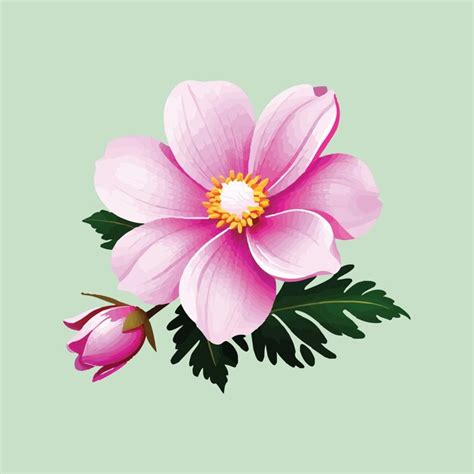 Ilustra O Vetorial De Flor Rosa Vetor Premium