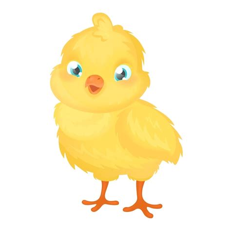 Premium Vector Cute Cartoon Baby Chicken